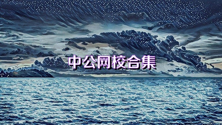 中公网校合集