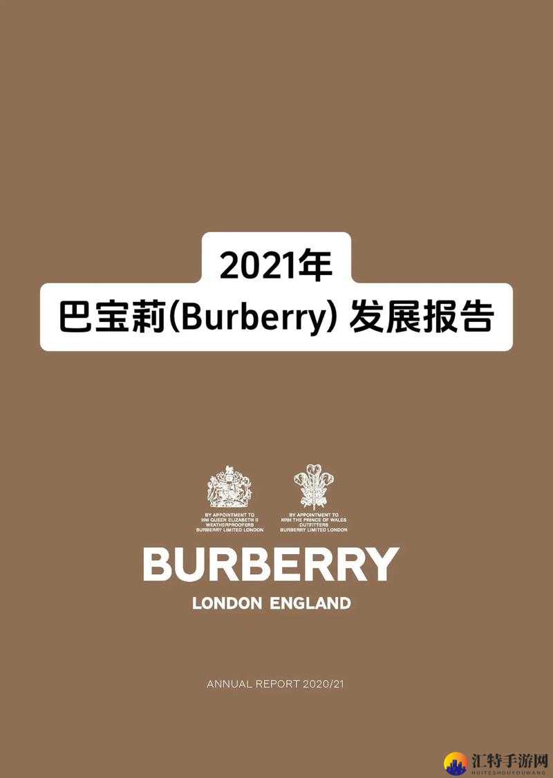 BURBERRY 中文免费版：时尚魅力的全新诠释