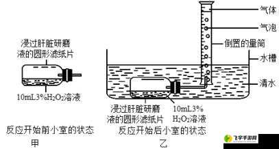 优质液体收集系统 pH 及其影响因素