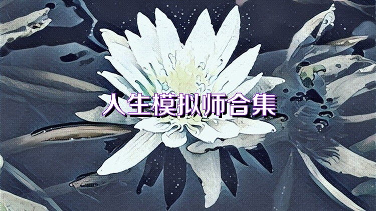 人生模拟师合集