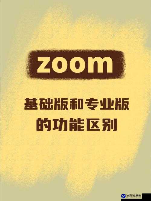 ZOOM 与 OKZOOM 区别对比