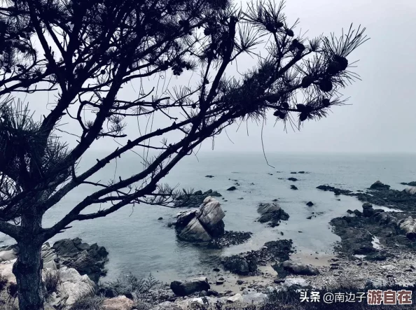 海角平台在线使用：深入了解其功能与优势，助力用户高效便捷地进行网络活动和资源共享