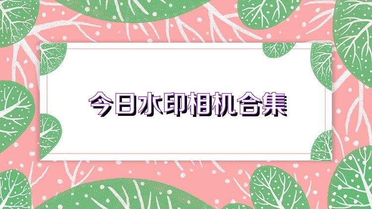 今日水印相机合集