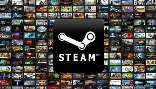 Steam家庭共享功能的具体限制是什么